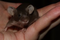 /album/vrh-s/img-4460-2-jpg/