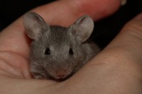 /album/vrh-s/img-4469-2-jpg/