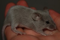 /album/vrh-t/img-4508-2-jpg/