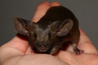 /album/vrh-p/img-4564-2-jpg/