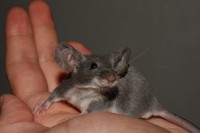 /album/vrh-t/img-4553-2-jpg/