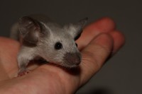 /album/vrh-r/img-4532-2-jpg/