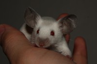 /album/vrh-r/img-4542-2-jpg/