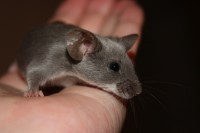 /album/vrh-u/img-4837-2-jpg1/