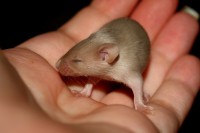 /album/vrh-w/img-5084-jpg/