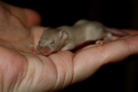 /album/vrh-w/img-5091-jpg/