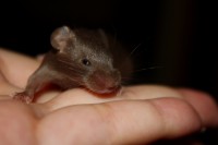 /album/vrh-w/img-5100-jpg/