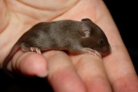 /album/vrh-w/img-5104-jpg/