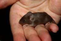 /album/vrh-w/img-5105-jpg/