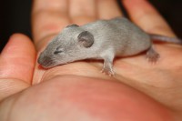 /album/vrh-w/img-5115-jpg/