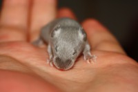 /album/vrh-w/img-5116-jpg/