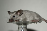 /album/vrh-w/img-5124-2-jpg/