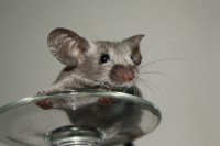 /album/vrh-w/img-5141-2-jpg/