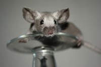 /album/vrh-w/img-5143-2-jpg/