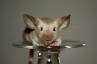 /album/vrh-w/img-5171-2-jpg/