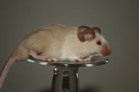 /album/vrh-w/img-5176-2-jpg/