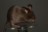 /album/vrh-w/img-5182-2-jpg1/