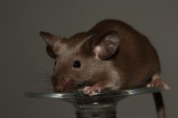 /album/vrh-w/img-5196-2-jpg1/