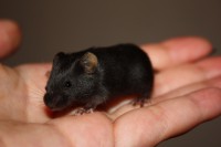 /album/vrh-y/img-5272-2-jpg/