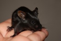 /album/vrh-y/img-5277-2-jpg/