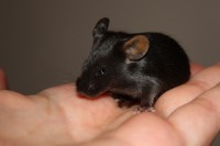 /album/vrh-y/img-5279-2-jpg/