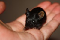 /album/vrh-y/img-5281-2-jpg/