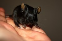 /album/vrh-y/img-5282-2-jpg/