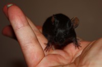 /album/vrh-y/img-5284-2-jpg/