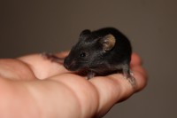 /album/vrh-y/img-5268-2-jpg/