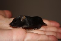 /album/vrh-y/img-5270-2-jpg/