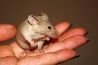 /album/vrh-y/img-5287-2-jpg/