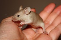 /album/vrh-y/img-5288-2-jpg/