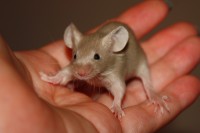 /album/vrh-y/img-5290-2-jpg/