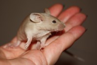 /album/vrh-y/img-5289-2-jpg/