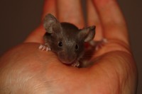 /album/fotogalerie-vrh-x/img-5296-2-jpg/