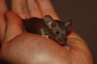 /album/fotogalerie-vrh-x/img-5297-2-jpg/