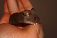 /album/fotogalerie-vrh-x/img-5300-2-jpg/