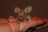 /album/fotogalerie-vrh-x/img-5309-2-jpg/