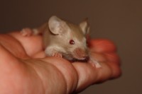 /album/fotogalerie-vrh-x/img-5313-2-jpg/