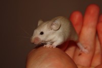 /album/fotogalerie-vrh-x/img-5304-2-jpg/