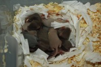 /album/vrh-z/img-5666-jpg/