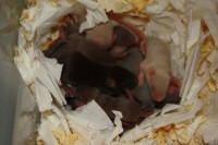 /album/vrh-z/img-5673-jpg/