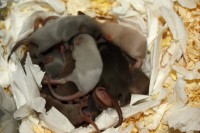 /album/vrh-z/img-5674-jpg/