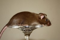 /album/vrh-z/img-0074-2-jpg/