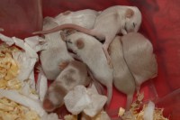 /album/vrh-c2/img-5841-2-jpg/