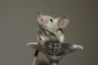 /album/vrh-c2/img-6292-2-jpg/