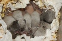 /album/vrh-g2/img-6360-jpg/