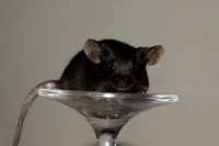 /album/vrh-e2/img-6520-2-jpg/