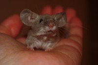 /album/vrh-g2/img-4842-2-jpg2/