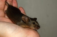 /album/vrh-h2/img-6865-2-jpg/